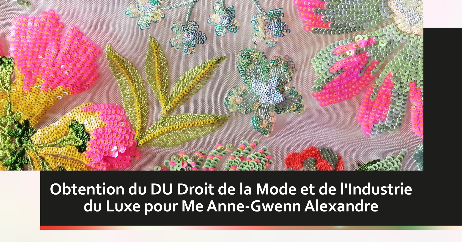 Obtention du DU Droit de la Mode et de l'Industrie du Luxe pour Me Anne-Gwenn Alexandre